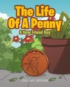 The Life Of A Penny