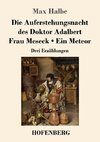 Die Auferstehungsnacht des Doktor Adalbert / Frau Meseck / Ein Meteor