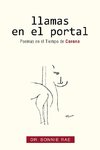 Llamas En El Portal