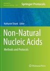 Non-Natural Nucleic Acids