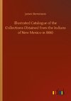 Illustrated Catalogue of the Collections Obtained from the Indians of New Mexico in 1880