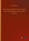 The Trial and Death of Jesus Christ a Devotional History of our Lord's Passion