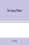 The Young Pitcher