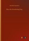 Boy, the Wandering Dog