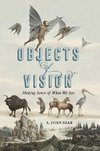 Objects of Vision