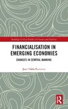 Financialisation in Emerging Economies