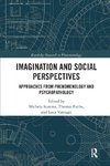 Imagination and Social Perspectives