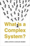 What Is a Complex System?