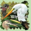 Life In A Wetland