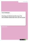 Fracking als Brückentechnologie für Deutschland. Risikofaktoren und Potentiale