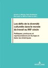 Les défis de la diversité culturelle dans le monde du travail au XXIe siècle