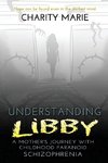 Understanding Libby