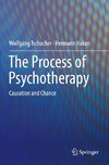 The Process of Psychotherapy