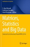 Matrices, Statistics and Big Data