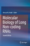 Molecular Biology of Long Non-coding RNAs