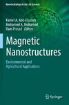 Magnetic Nanostructures