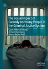 The Social Impact of Custody on Young People in the Criminal Justice System