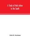 A study of mob action in the South