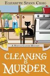 Cleaning is Murder