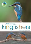 RSPB Spotlight Kingfishers