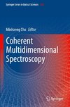 Coherent Multidimensional Spectroscopy