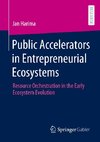 Public Accelerators in Entrepreneurial Ecosystems