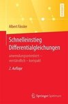 Schnelleinstieg Differentialgleichungen