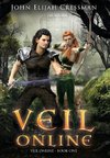 Veil Online - Book 1 (a LitRPG MMORPG Adventure Series)