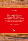 New Insights into the Stratigraphic Setting of Paleozoic to Miocene Deposits