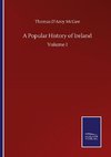 A Popular History of Ireland