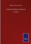 A Popular History of Ireland