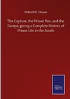 The Capture, the Prison Pen, and the Escape, giving a Complete History of Prison Life in the South