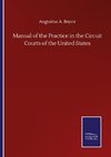 Manual of the Practice in the Circuit Courts of the United States