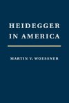 Heidegger in America