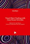 Visual Object Tracking with Deep Neural Networks