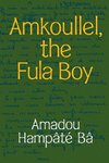 Amkoullel, the Fula Boy