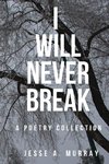 I Will Never Break