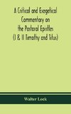 A critical and exegetical commentary on the Pastoral epistles (I & II Timothy and Titus)