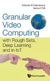 Granular Video Computing