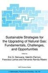 Sustainable Strategies for the Upgrading of Natural Gas: Fundamentals, Challenges, and Opportunities