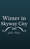 Winter in Skyway City