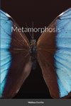 Metamorphosis