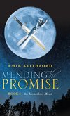 Mending the Promise