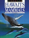 Discover Hawai'i's Marine Mammals