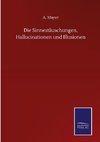 Die Sinnestäuschungen, Hallucinationen und Illusionen