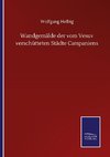 Wandgemälde der vom Vesuv verschütteten Städte Campaniens