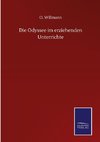 Die Odyssee im erziehenden Unterrichte