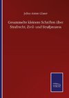 Gesammelte kleinere Schriften über Strafrecht, Zivil- und Strafprozess