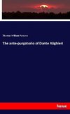 The ante-purgatorio of Dante Alighieri