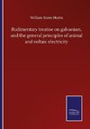 Rudimentary treatise on galvanism, and the general principles of animal and voltaic electricity